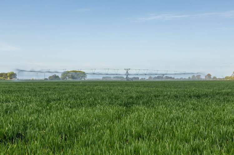 Selwyn Lake Road Leeston_15