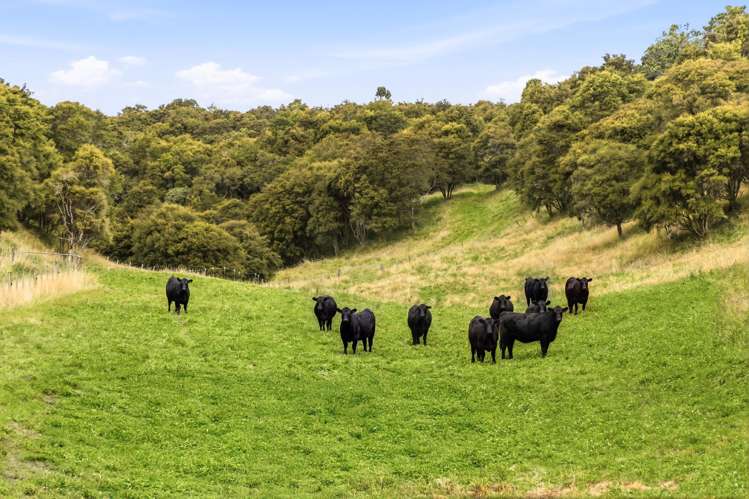 741 Hingarae Road Tihoi_39