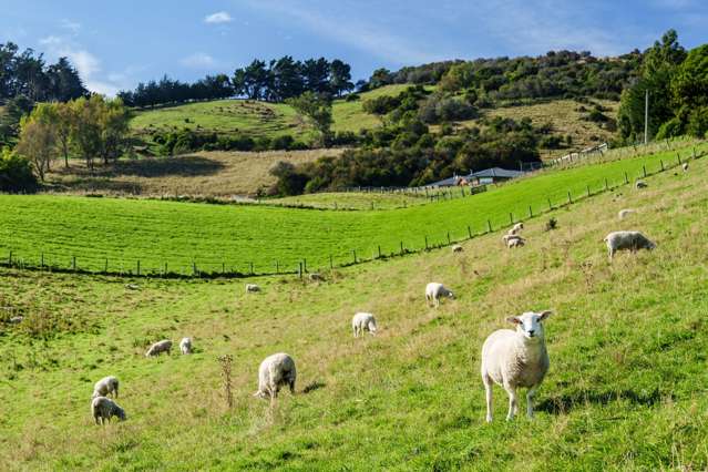 61 Elwyn Crescent Green Island_2