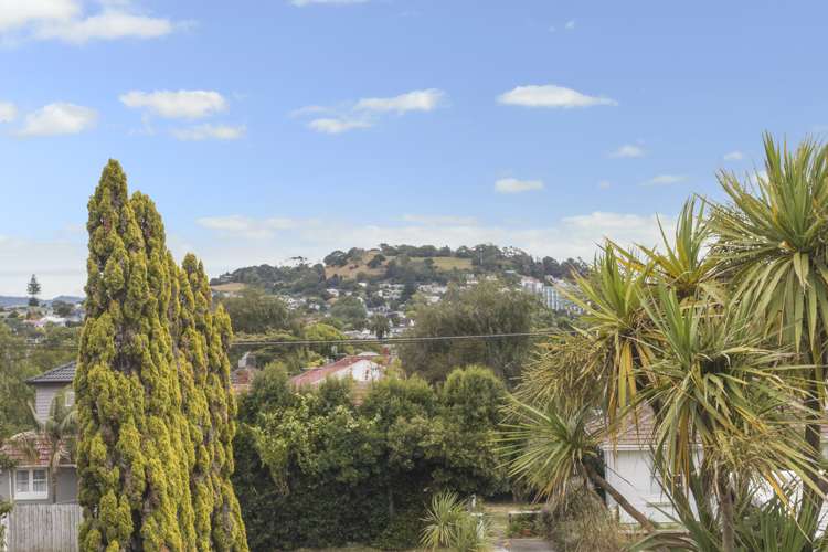 3/876 Dominion Road Mount Eden_19