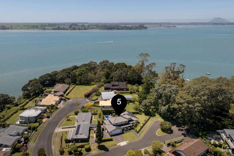 5 Gellibrand Place Omokoroa_29