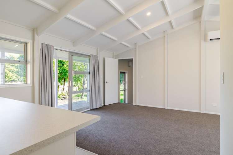 7 Fagan Street Bulls_6