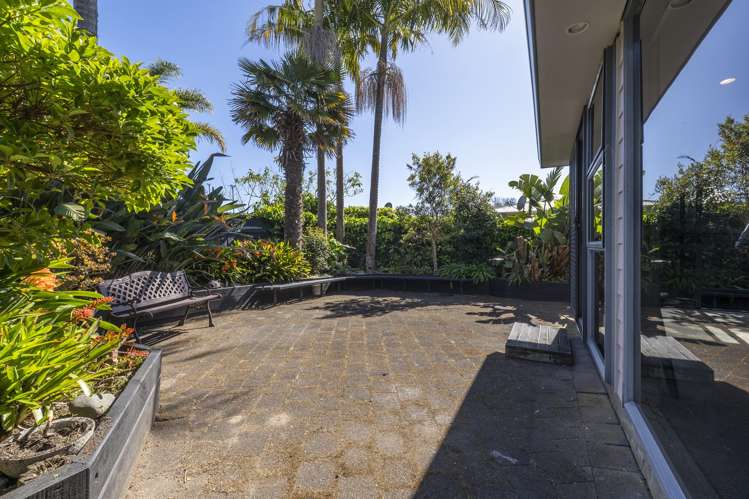 79A Nile Road Milford_9