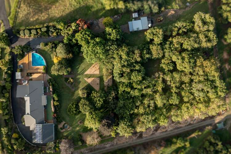 85 Plummer Road Whakamarama_18