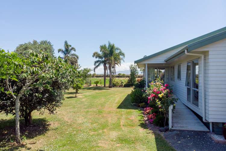 5 Stembridge Road Ngatea_20