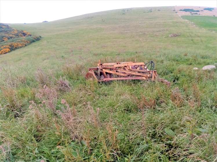 265 Glenfalloch Road Catlins Surrounds_12