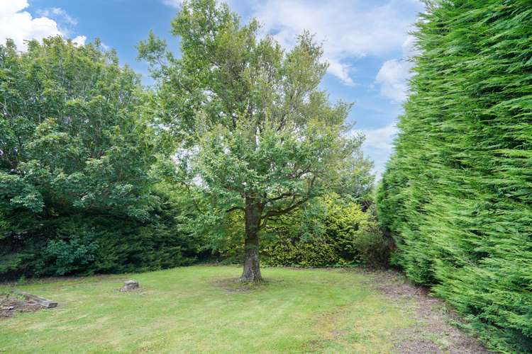 135 Heywood Street Grasmere_24