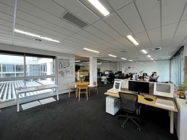 7 Falcon Street Parnell_4