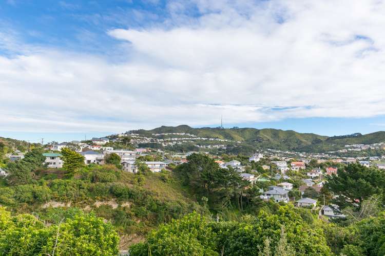 26 Cresswell Place Johnsonville_10