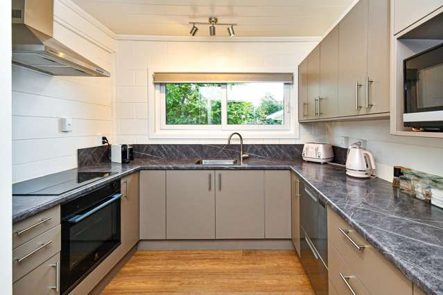 113 Elliot Street Pahurehure_3