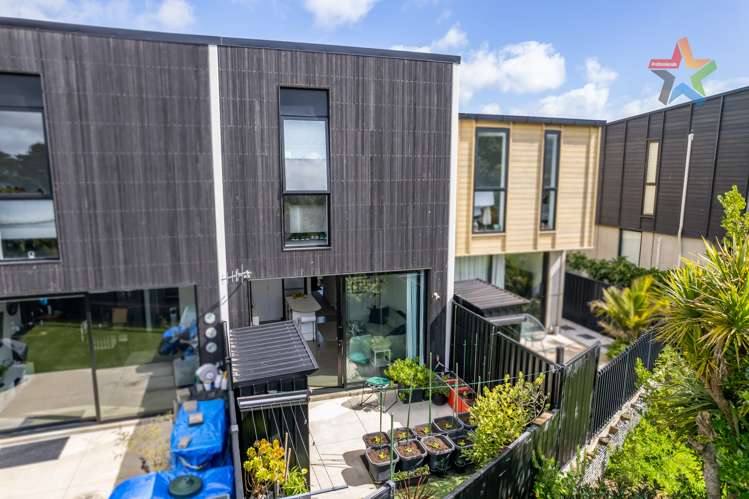 21 Te Ara O Paetutu Petone_14