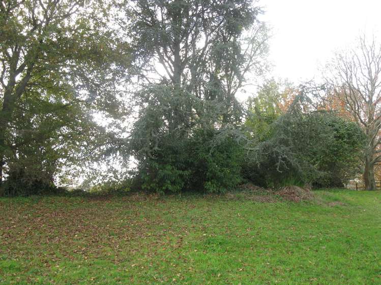 12 Duncan Road Ngahinapouri_6