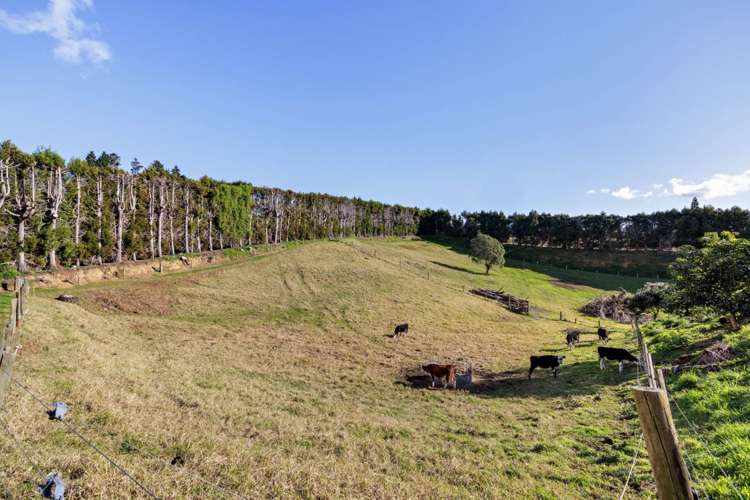 374 Youngson Road Whakamarama_10