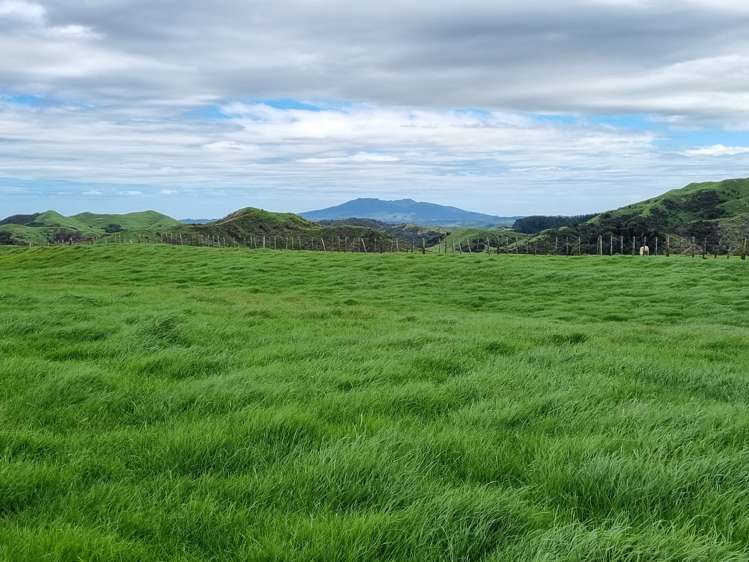 165 Kereru Road Glen Massey_7