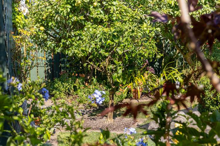 52 Andrew Street Waikanae_17