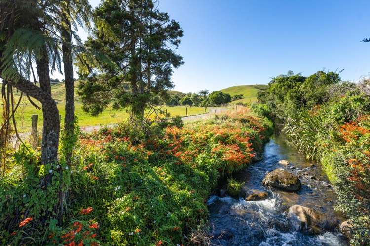 860 Egmont Road Hillsborough_19