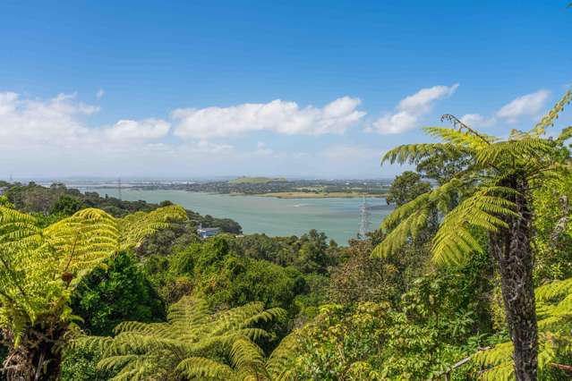 402 Hillsborough Road Mount Roskill_4