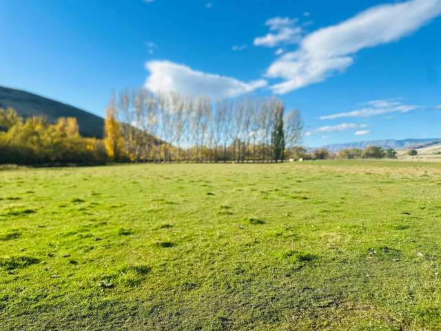 779 Ardgour Road Tarras_1