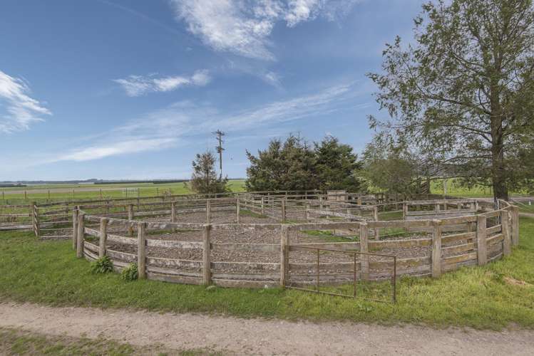 Mclennans Bush Road Methven_10