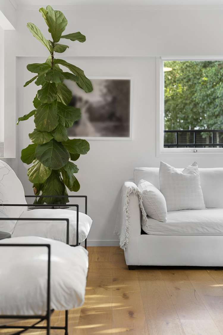 2/16 Rangitoto Terrace Milford_17