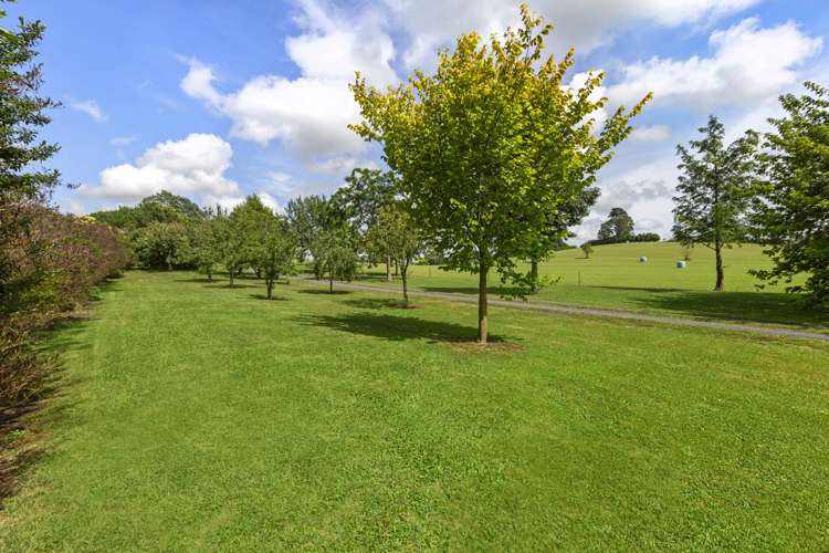 877 Victoria Road Tauwhare_12