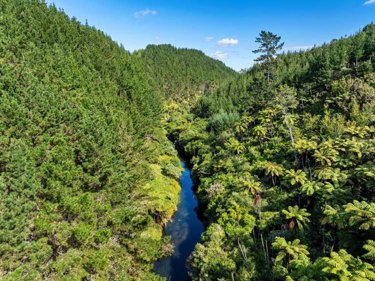 372f Wairoa Road Wairoa_14