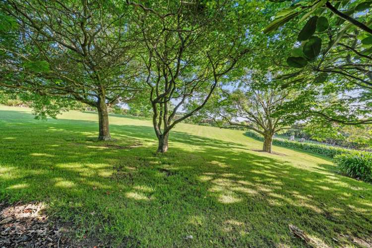 350 MacWhinney Drive Drury_24