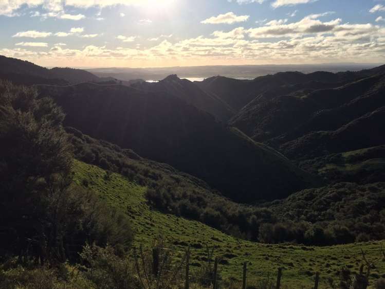 Klondyke Road Onewhero_11