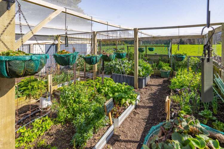 6 South Featherston Road Featherston_15