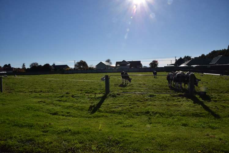 16 Tui Place Edendale_4