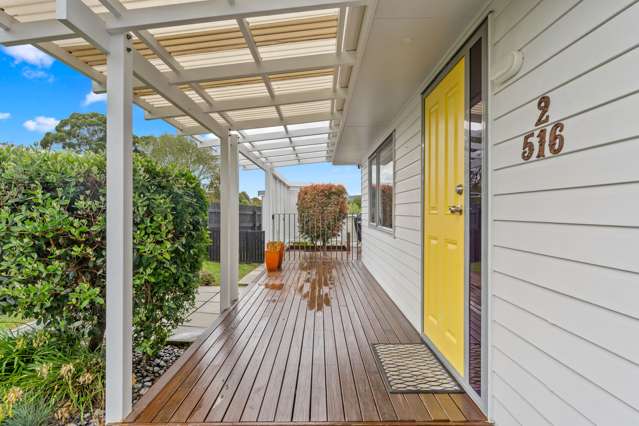 516b Great South Road Rosehill_2