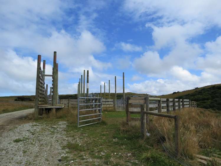 15 Bell Road Taumarunui_7