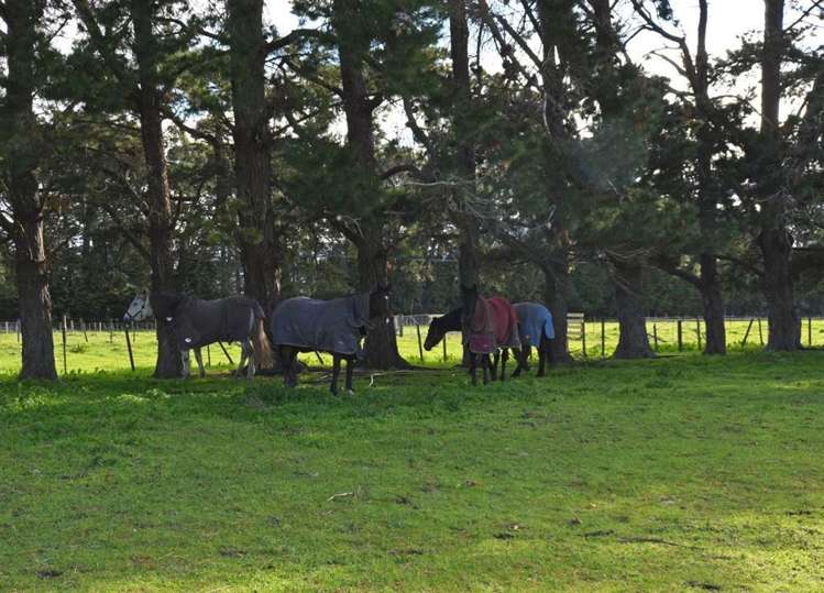 1639 State Highway 2 Tauwharenikau_16