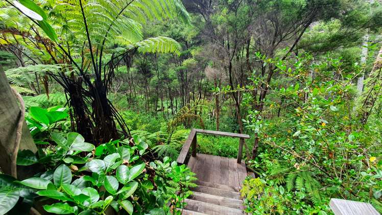 46 Schoolhouse Bay Road Kawau Island_14