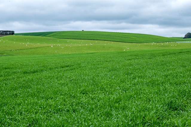 38 Doake Road Pleasant Point_1