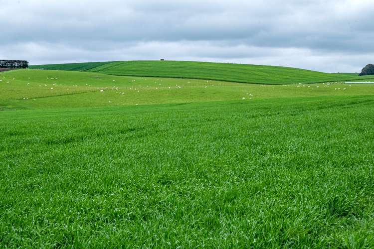 38 Doake Road Pleasant Point_1