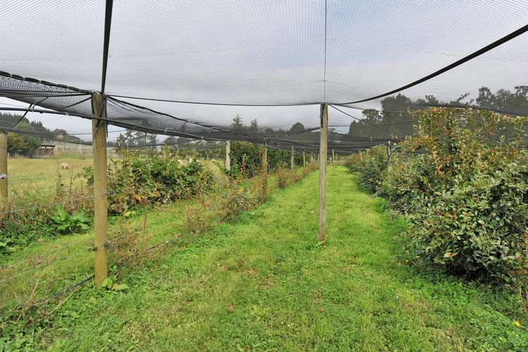 46 Old House Road Upper Moutere_19