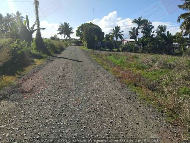 Affordable Lifestyle & Farming Opportunity – Build, Grow & Invest Close to Town in Fiji
