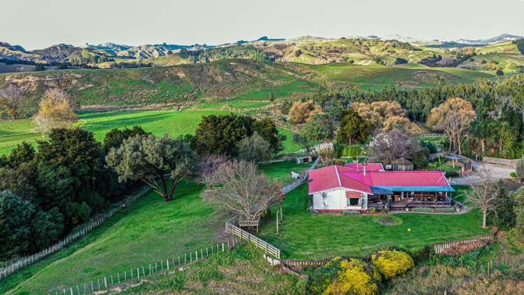 1550 Glenora Road Akitio_8