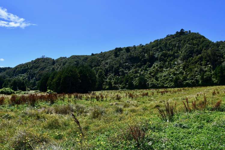 1/Lot 1 Kongahu Road Little Wanganui_18