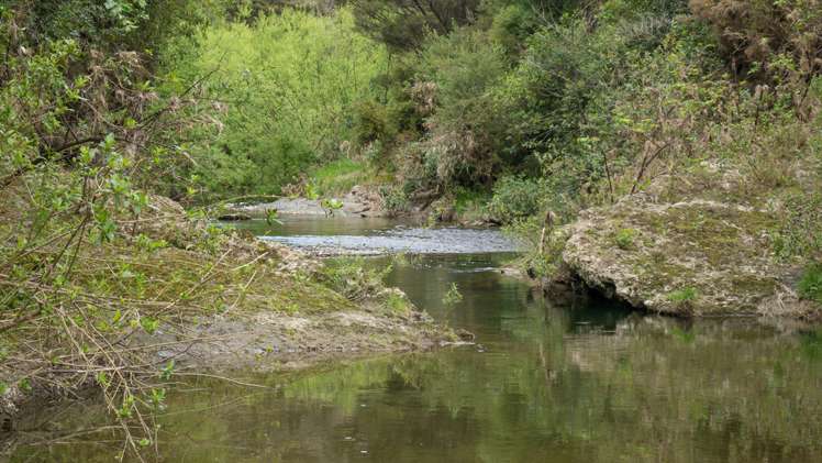 950a White Rock Road Ruakokoputuna_3