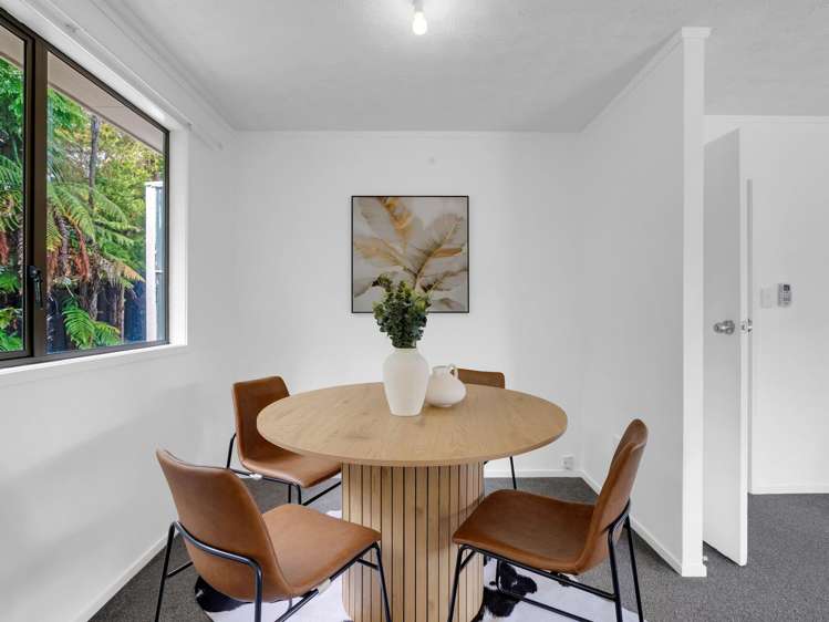 17 Matipo Crescent_5