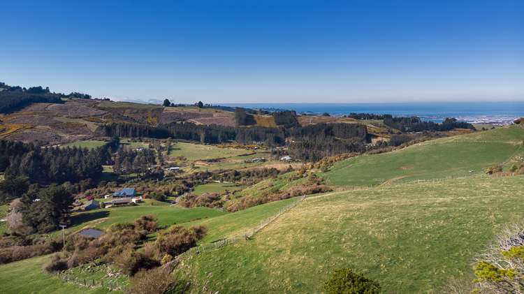 233 Leith Valley Road Leith Valley_14