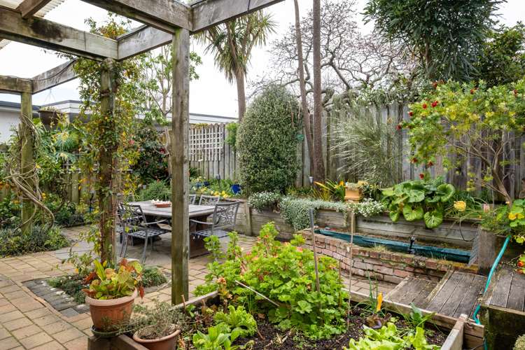 3b Lighthouse Road Bluff Hill_12