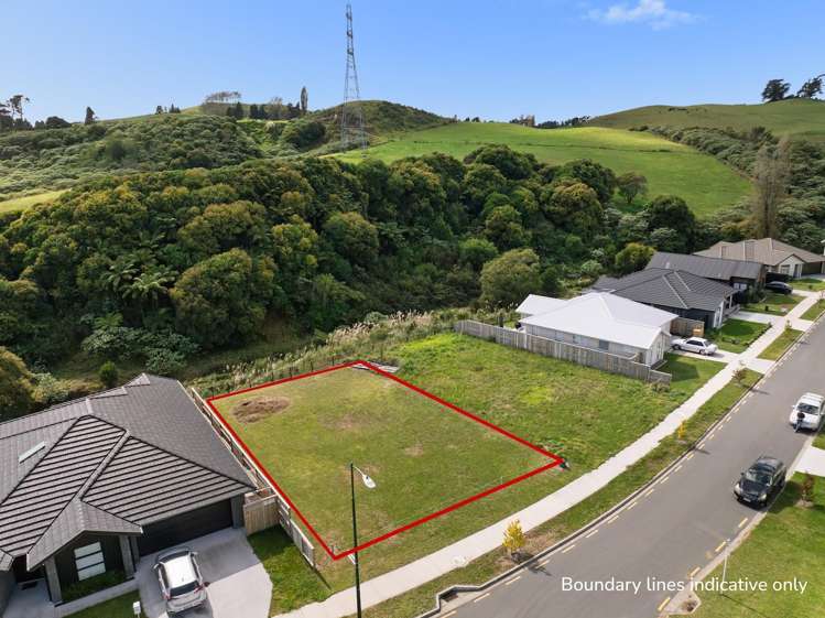 165 Adler Drive Ohauiti_1