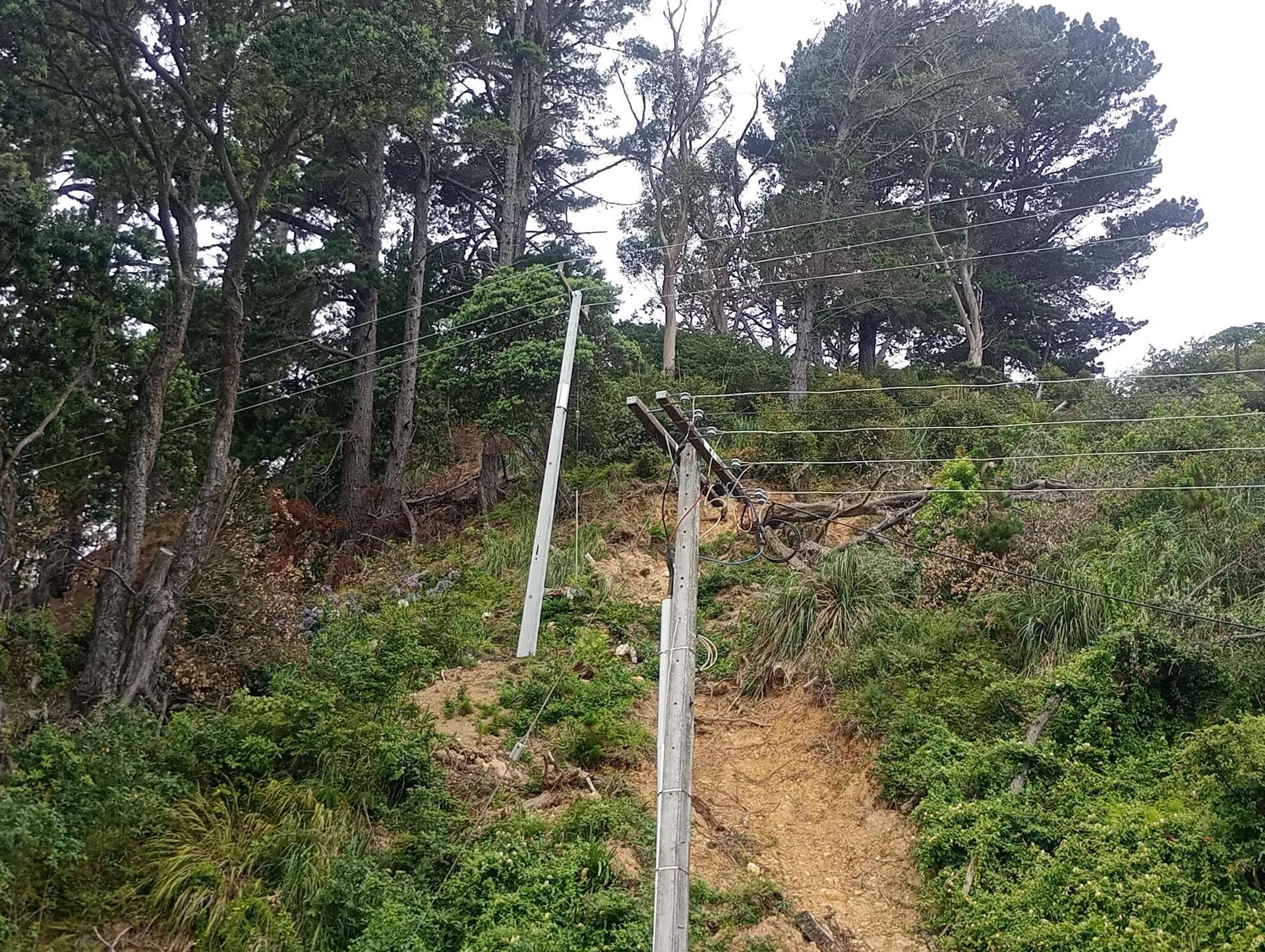 818 Thames Coast Road Te Mata_0