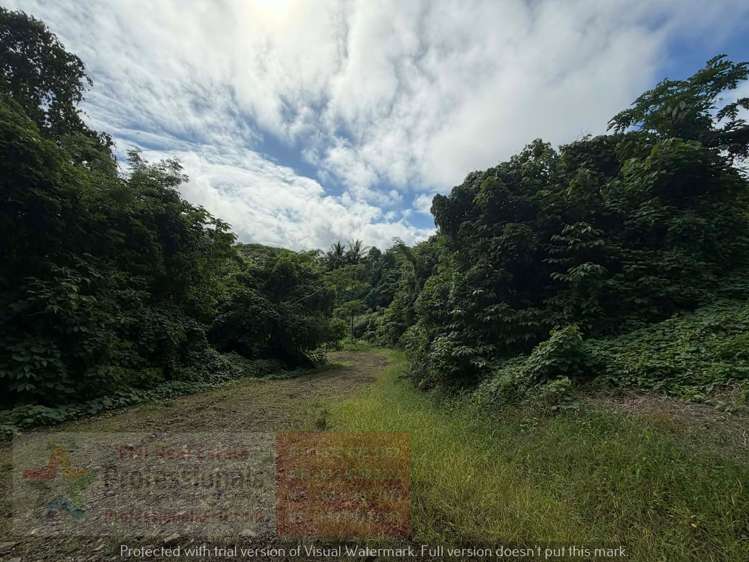 Address withheld Savusavu_16