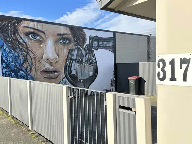 317 Great North Road Winton_3