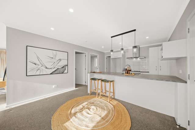 23 John Mcdonald Mews Masterton_4