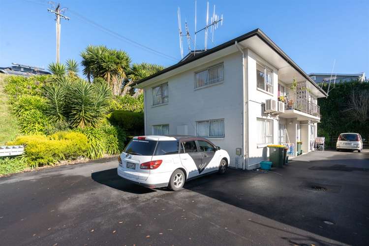 6 Teddy Street Whitiora_1